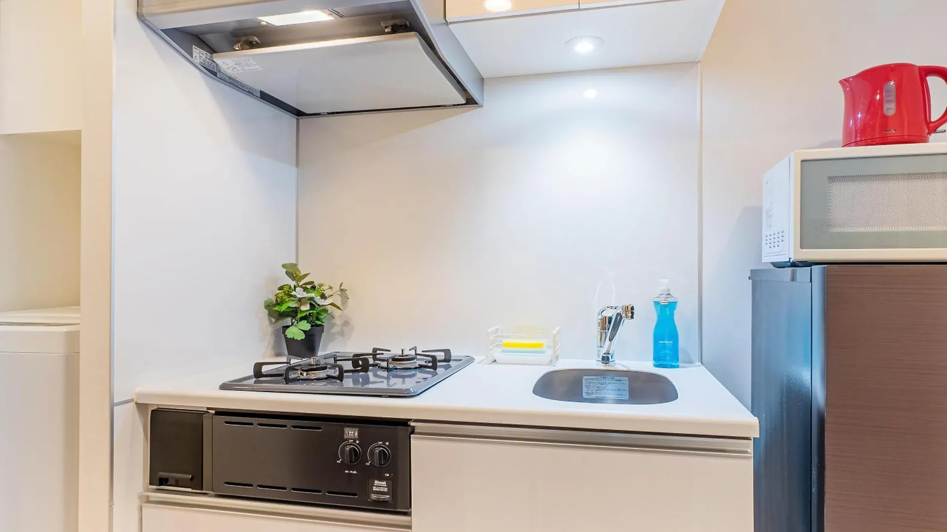 Brilliant Mk- III Apartment Tokyo